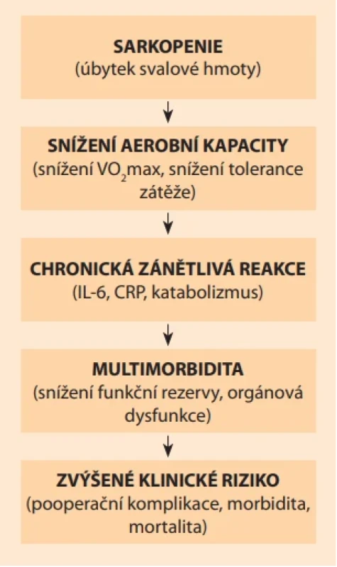 Patofyziologie frailty. Fig. 1. Pathophysiology of frailty.