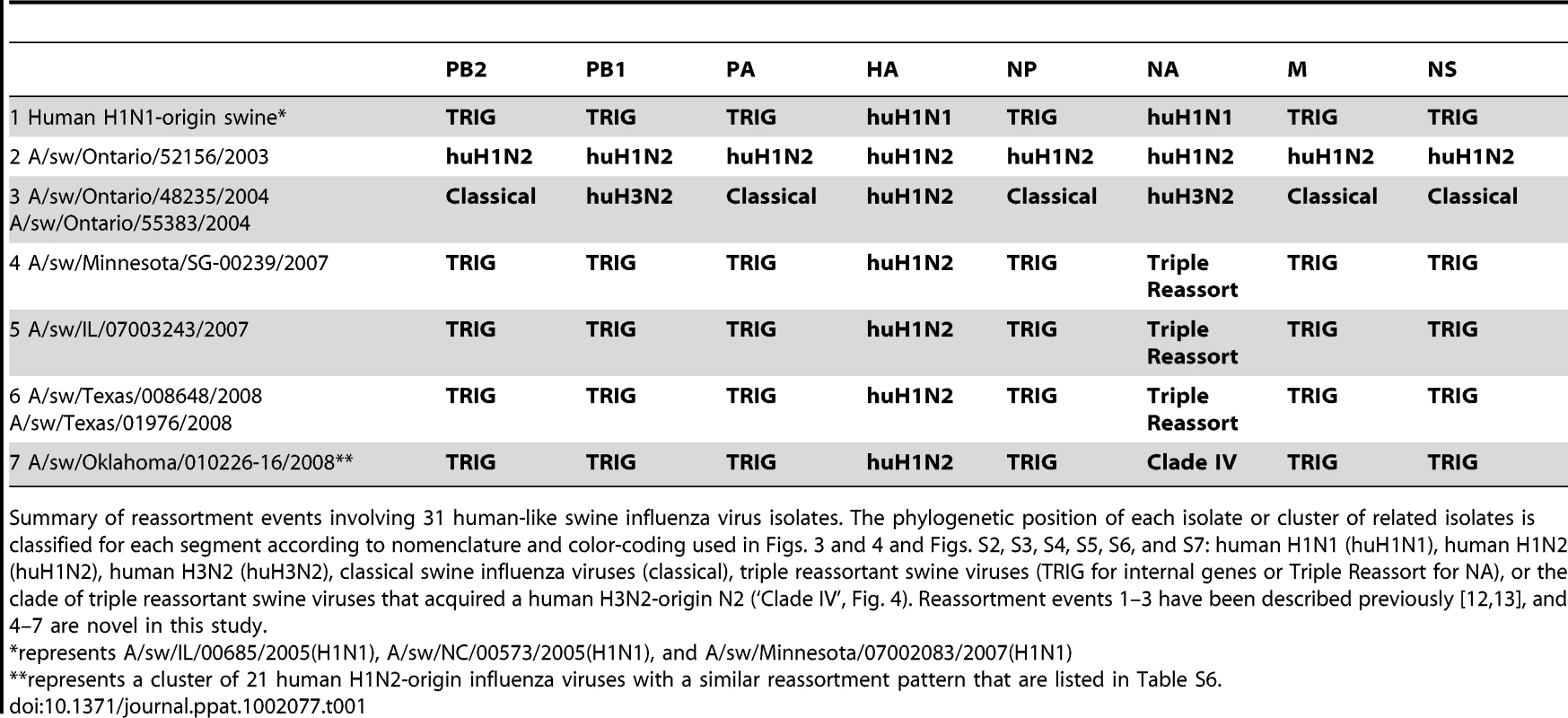 Whole-genome reassortment of human-origin swine influenza viruses.