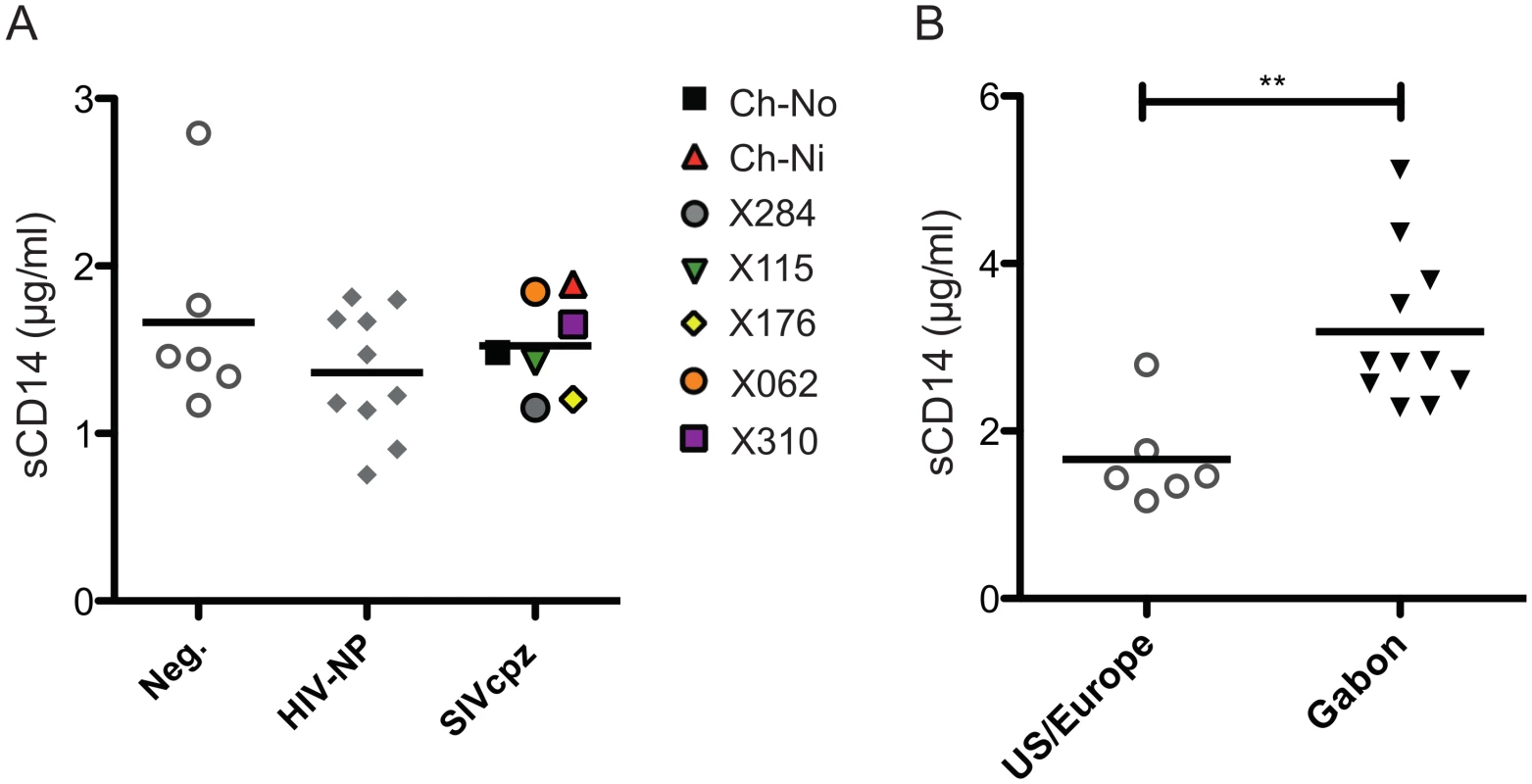Levels of plasma soluble CD14 in uninfected and SIVcpz infected chimpanzees.
