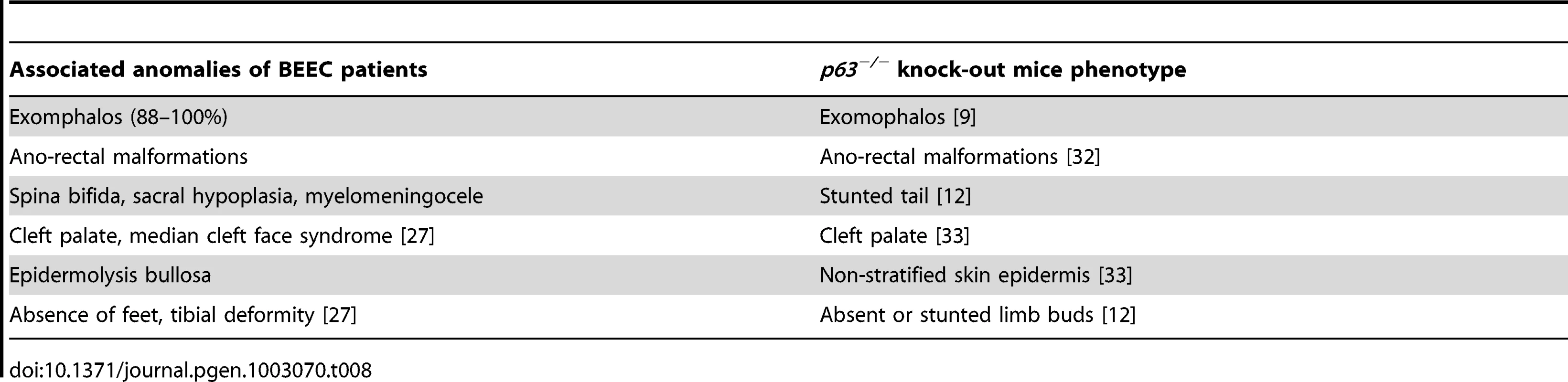 The associated anomalies of BEEC patients compared with the <i>p63<sup>−/−</sup></i> mouse phenotype.