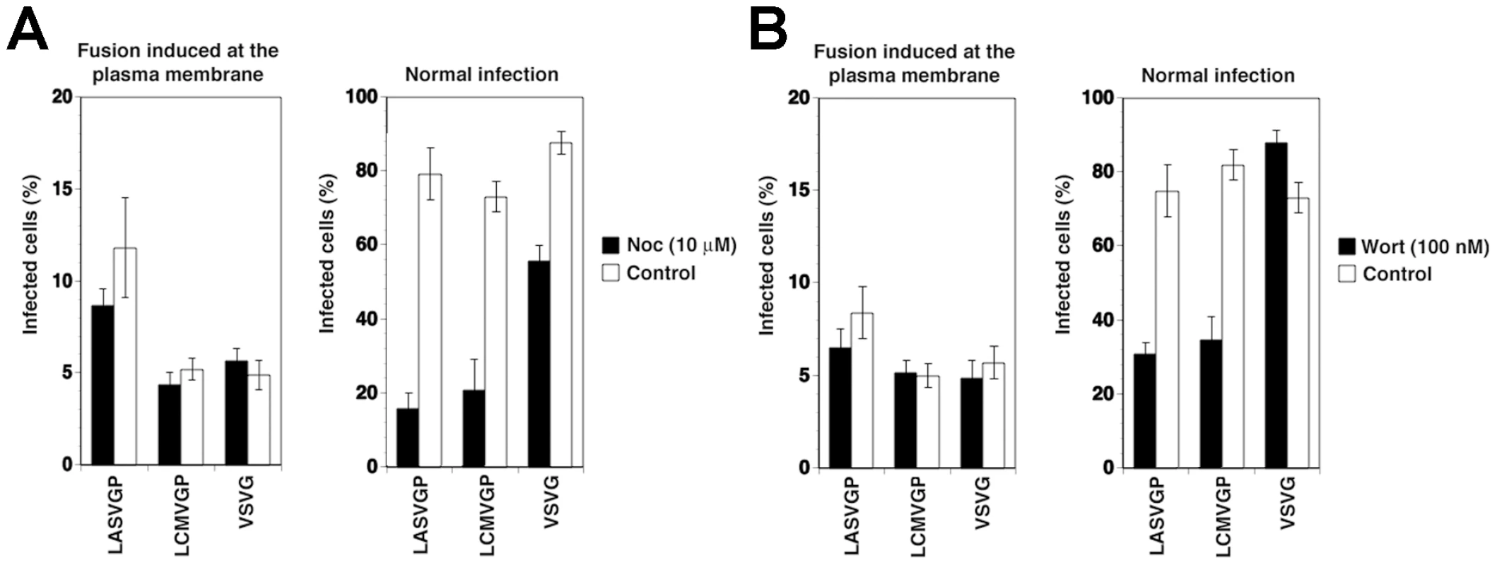 The role of microtubules and PI3K in cell entry of LASV and LCMV.