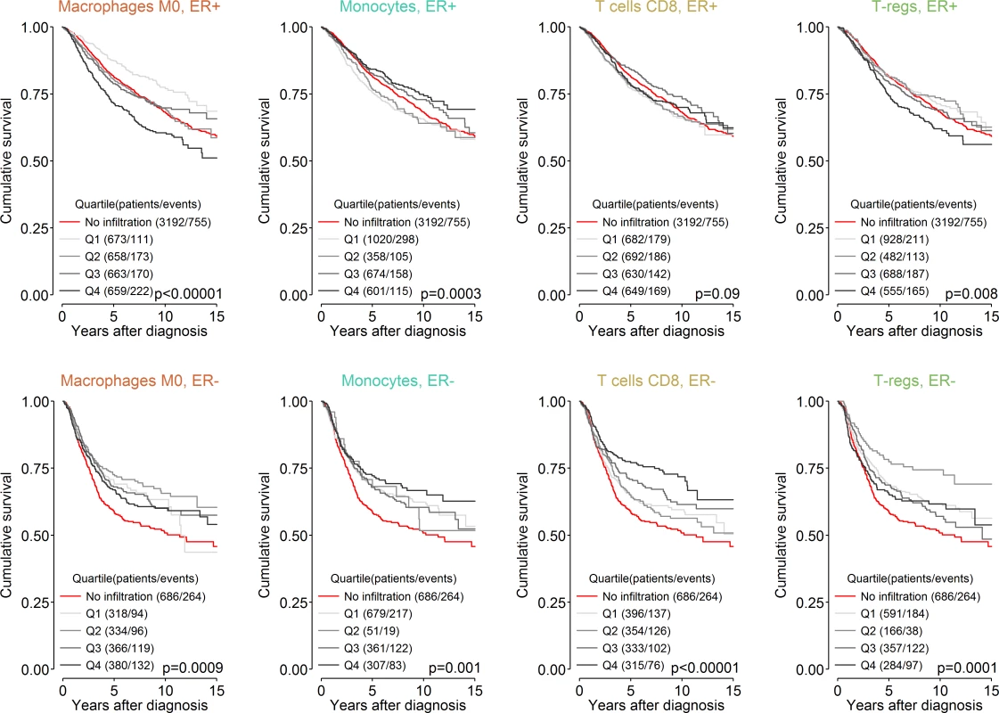Survival plots highlighting the patient subgroup with tumours containing little or no immune infiltration by CIBERSORT <i>p</i>-value.