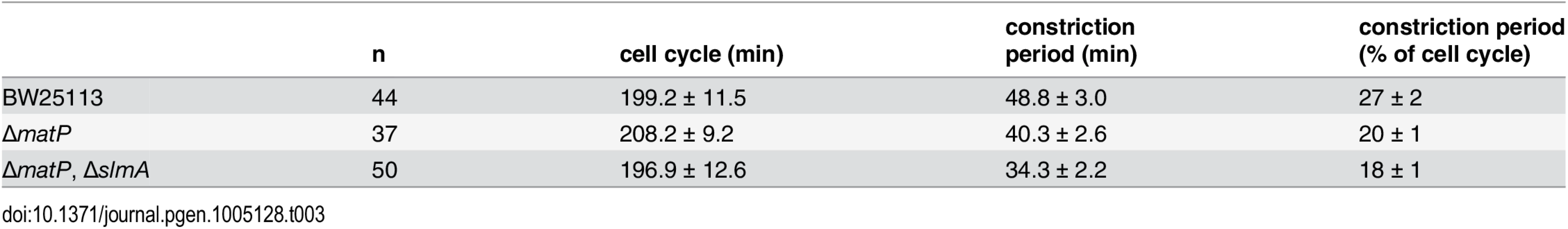 Time-lapse analysis of FtsZ-GFP in mutant strains.