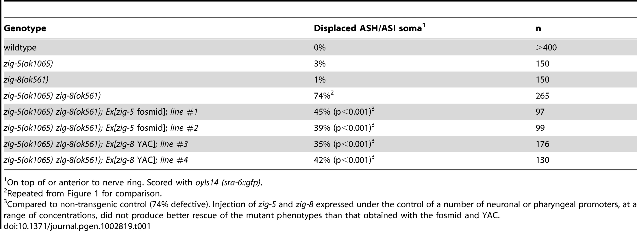 Rescue of <i>zig-5 zig-8</i> mutant phenotypes.