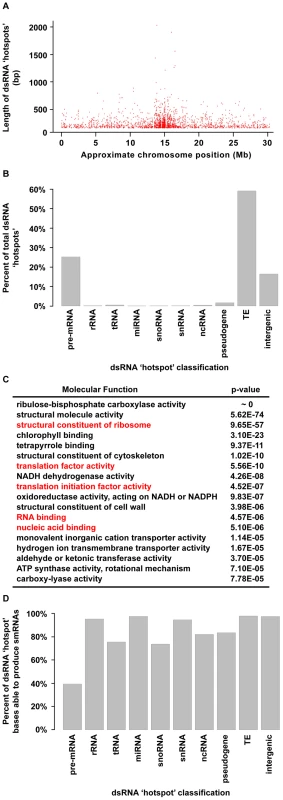 Highly base-paired segments of the <i>Arabidopsis</i> genome (dsRNA “hotspots”).