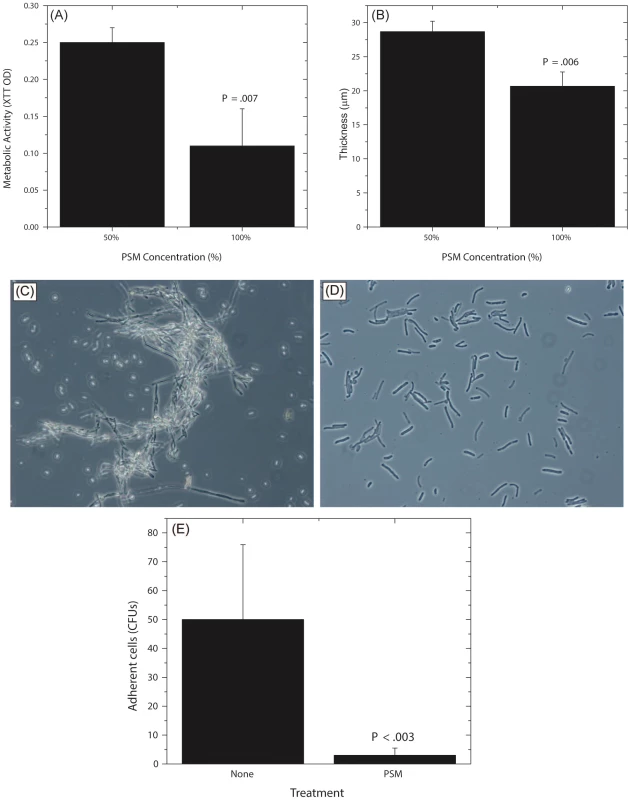 Dose dependent activity of PSM, and its effect on <i>Candida</i> germination and adhesion.