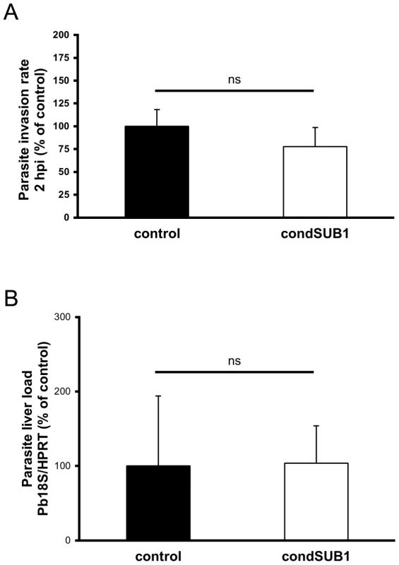 Excised condSUB1 sporozoites display no defect in hepatocyte invasion or capacity to establish a liver stage infection.