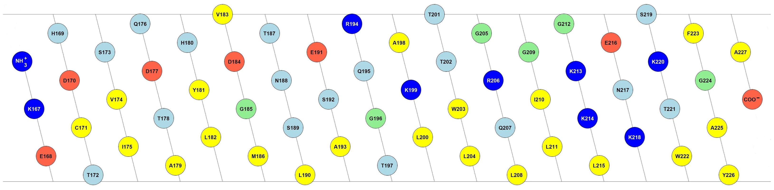 Amphipathic helix model of the E<sup>rns</sup> membrane anchor.