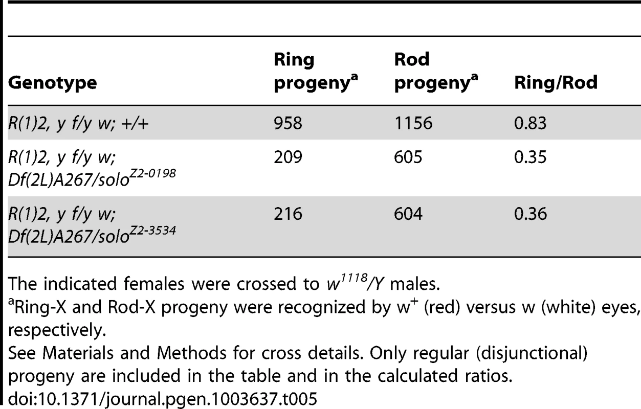 Sister chromatid exchange is increased in <i>solo</i> mutants.