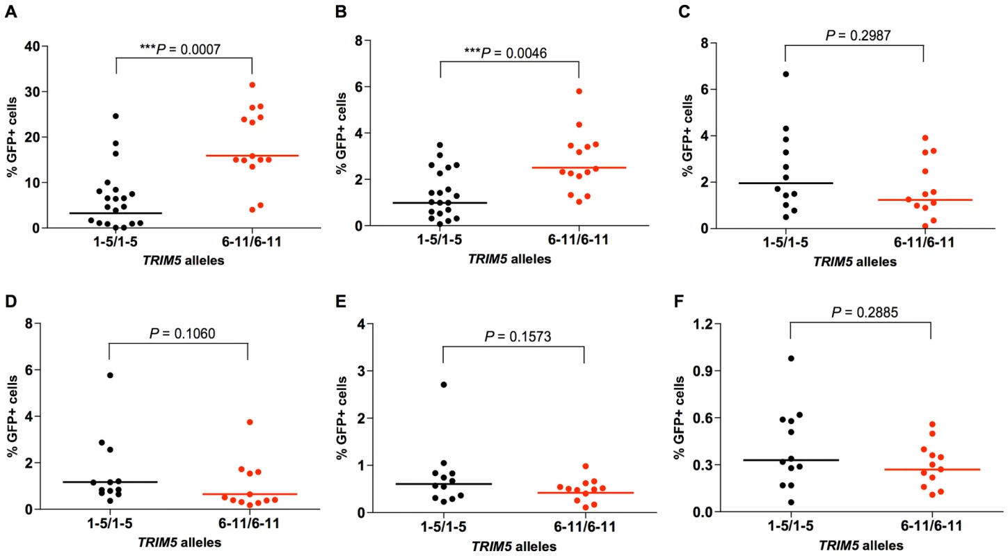 Effects of TRIM5α variants on susceptibility of rhesus monkey B-LCLs to VSV-G-pseudotyped retrovirus constructs.