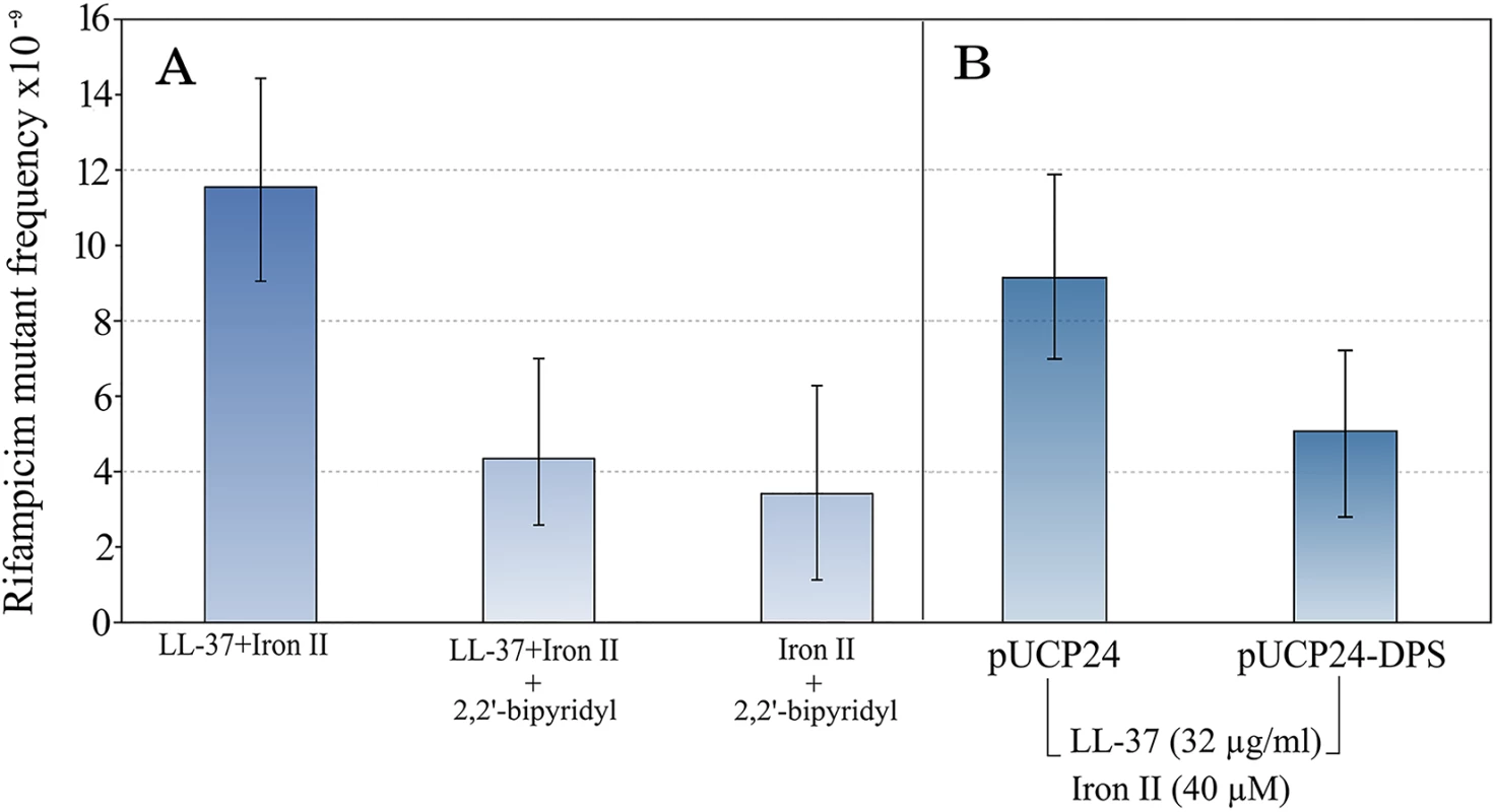 The mutagenesis of LL-37+Fe<sup>2+</sup> combination is suppressed by the addition of an iron chelator.