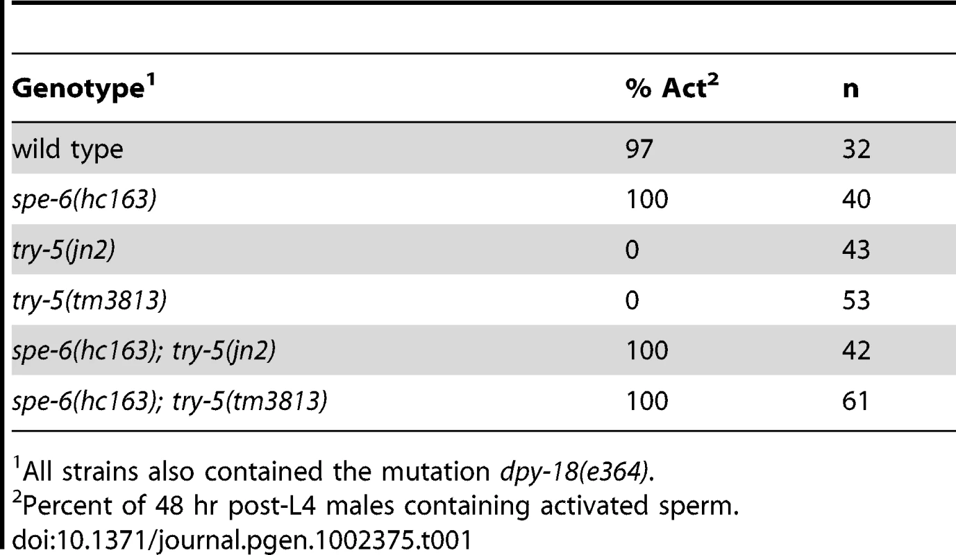 TRY-5 is not required for activation in <i>spe-6</i> animals.