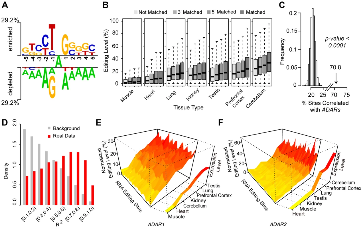 <i>ADARs</i>-mediated enzymatic reactions is associated with the macaque editome.