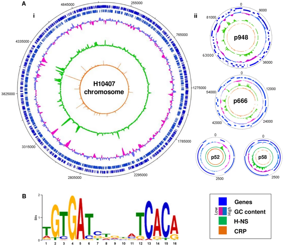 Distribution of CRP and H-NS across the ETEC H10407 genome.