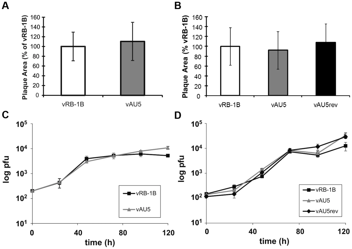 MDV harboring a template mutant vTR replicate comparable to parental and revertant viruses <i>in vitro</i>.