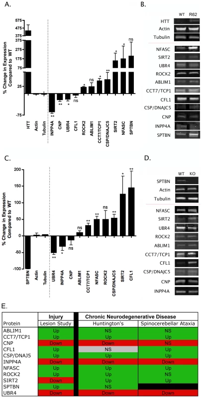 Molecular pathways underlying degeneration in synapse-enriched fractions are conserved across diverse neurodegenerative conditions.