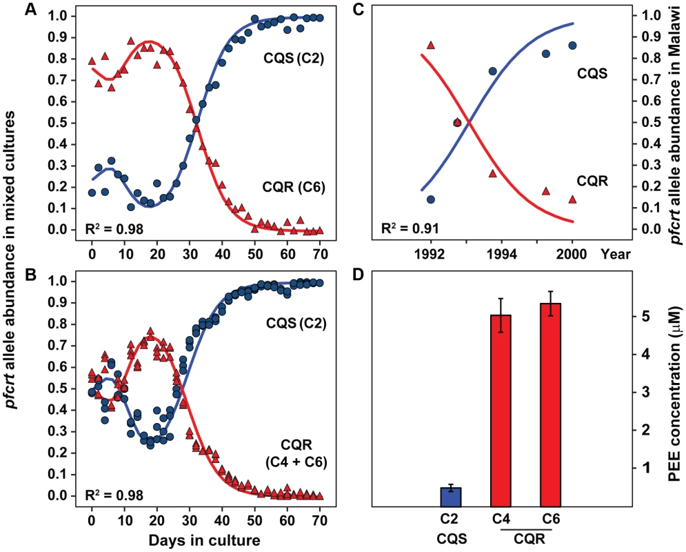 Chloroquine sensitive alleles outcompete resistant alleles <i>in vitro</i> and in endemic populations.
