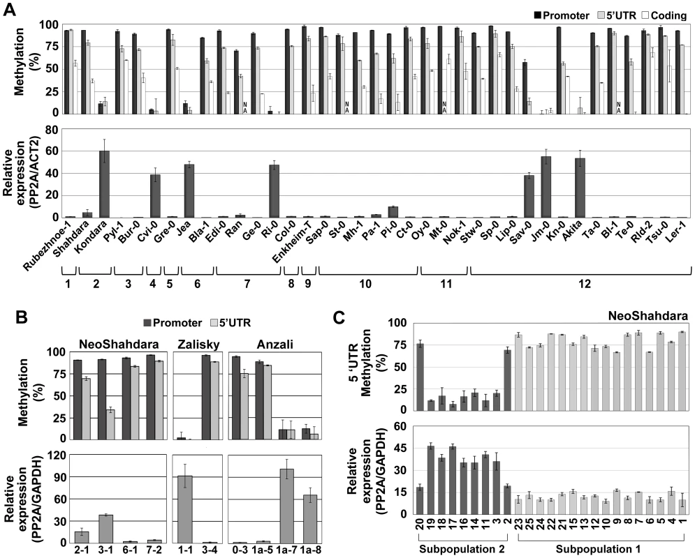 Epigenetic variation at <i>QQS</i> is frequent in nature.