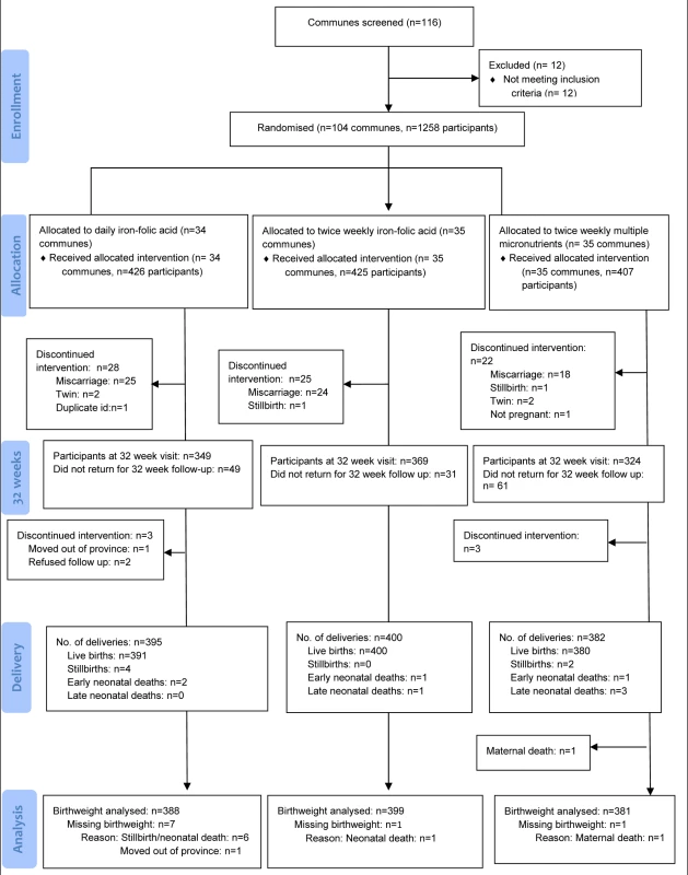 Trial profile.