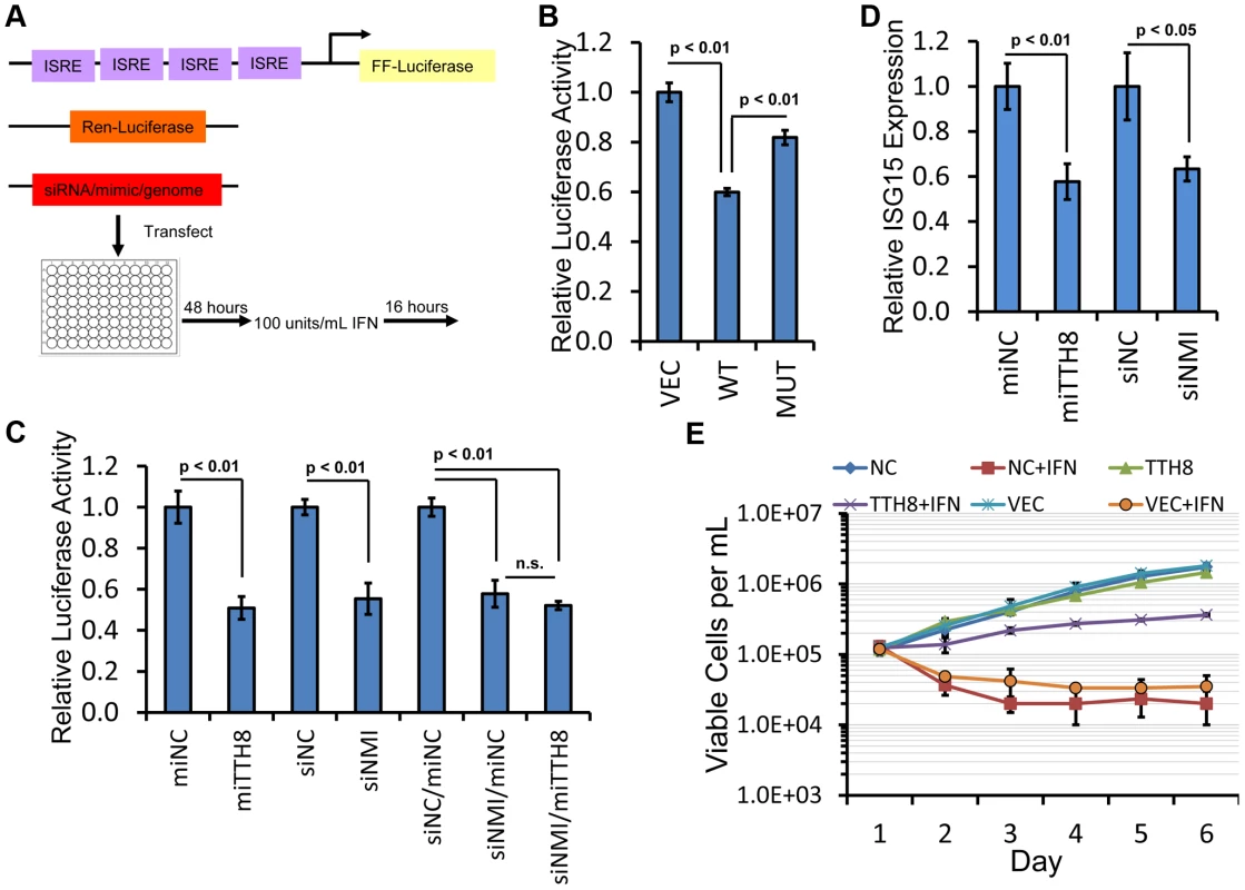TTV-tth8-miR-T1 or knockdown of NMI inhibits interferon signaling.