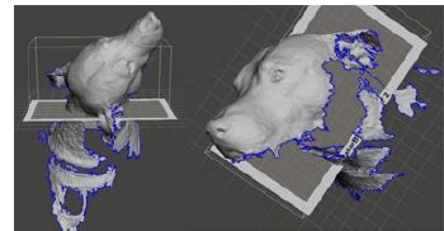 Initial 3D scan.