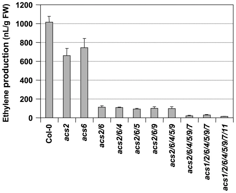 Ethylene induction in high-order <i>acs</i> mutants after <i>B. cinerea</i> infection.