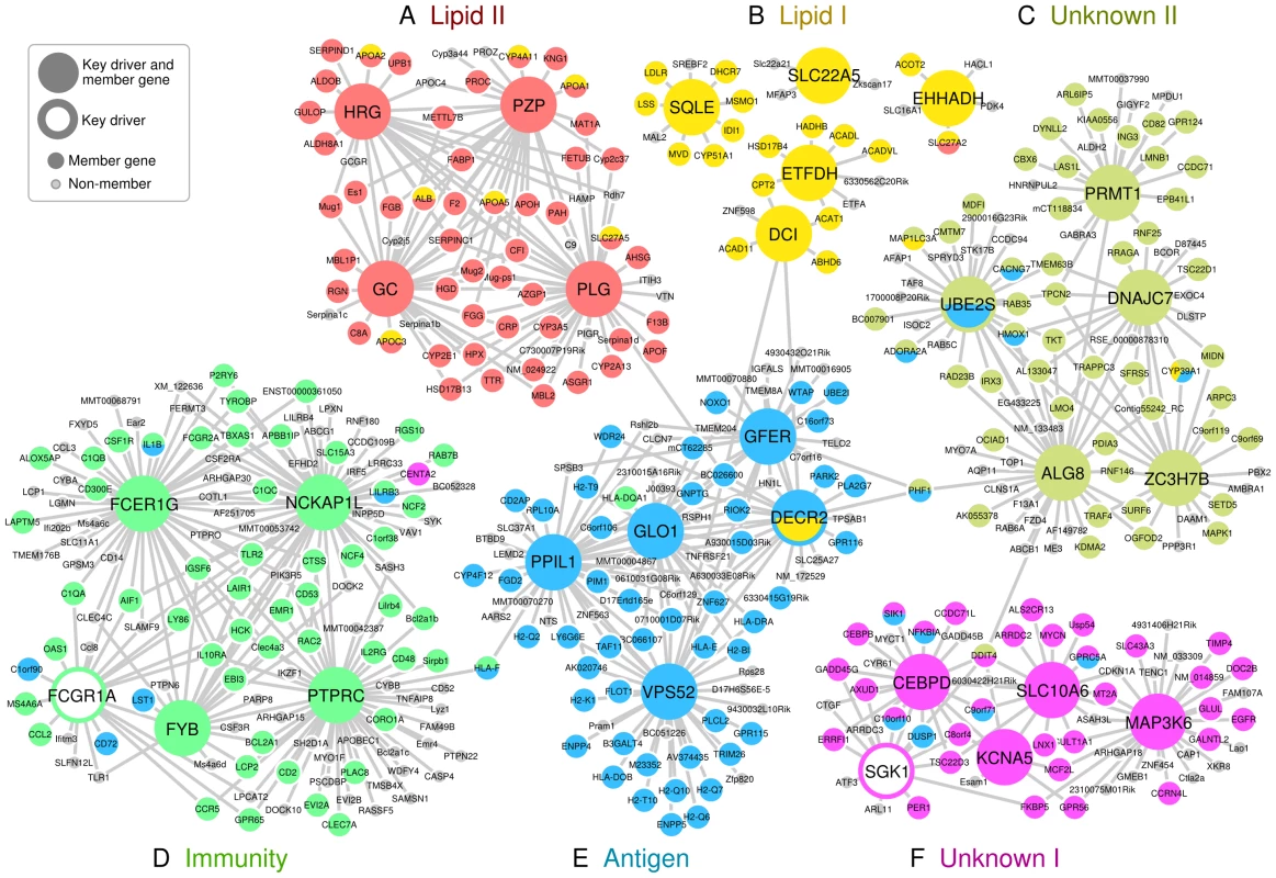 Key driver genes of six CAD-associated supersets, and their adjacent regulatory partners.