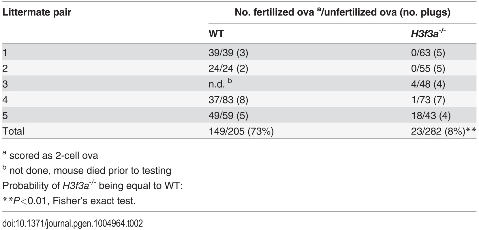 Fertilization frequency obtained in aged <i>H3f3a</i> mutant males.