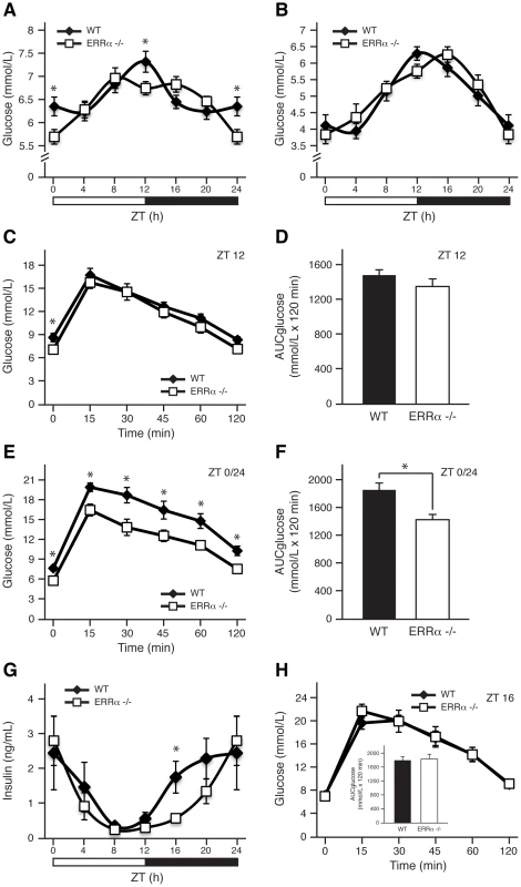 ERRα is involved in diurnal glucose homeostasis.