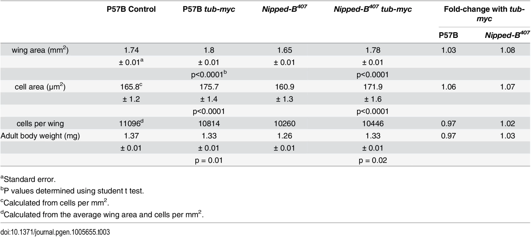 Effects of additional <i>myc</i> (<i>dm</i>) expression on female wings and body weight.