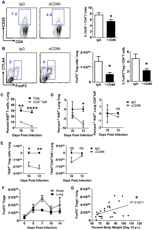 CD86 blockade leads to selective Treg depletion.