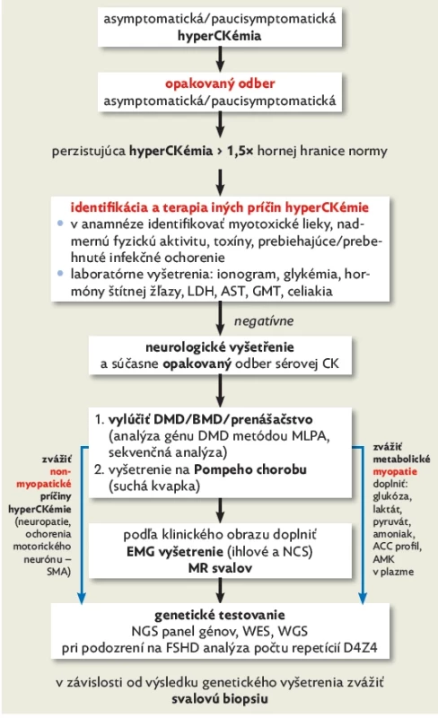 Navrhovaný diagnostický algoritmus pre asymptomatickú/ paucisymptomatickú hyperCKémiu u detí (upravené podľa Wong et al., 2018)