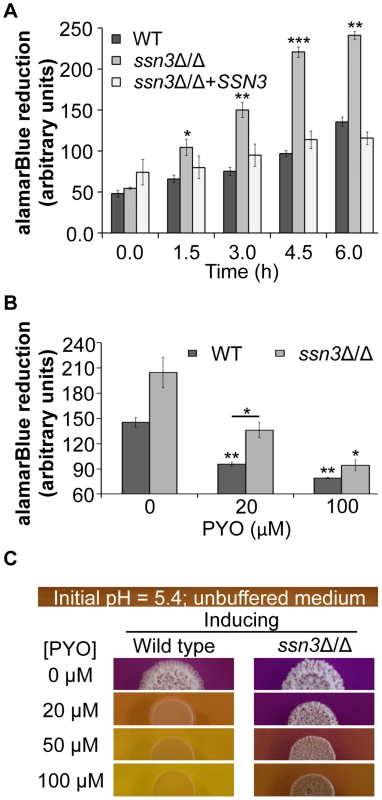 The increased oxidative metabolism of the <i>ssn3</i> mutant directly correlates with wrinkled colony formation.