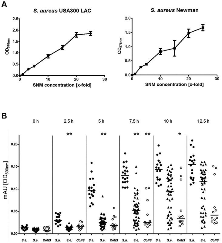 Capacities of <i>S. aureus</i> and CoNS strains to grow in synthetic nasal medium (SNM).