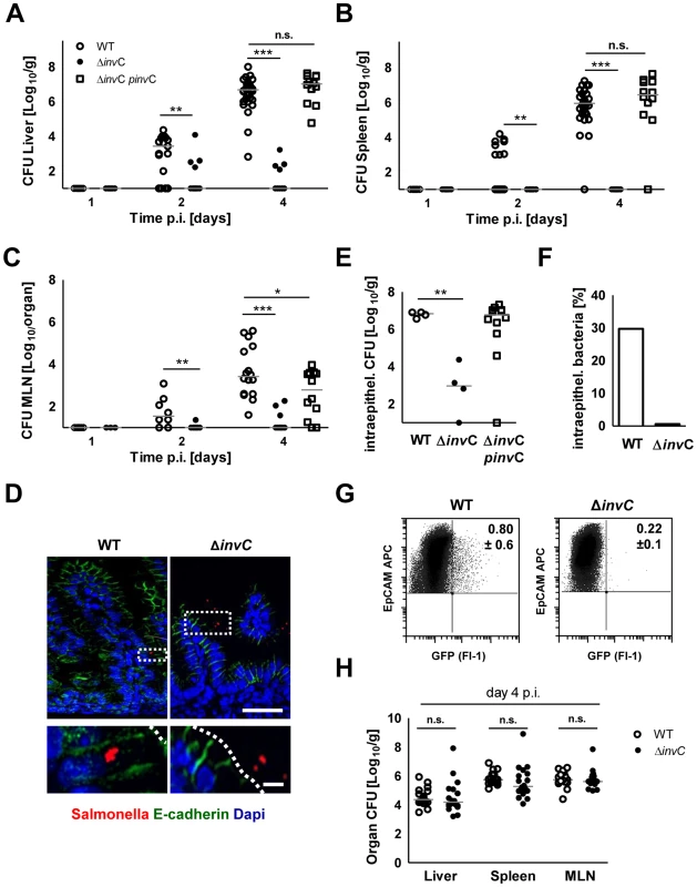 Comparative analysis of WT and invasion-deficient <i>Salmonella</i>.