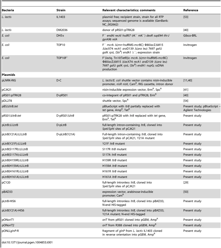 Bacterial strains and plasmids.