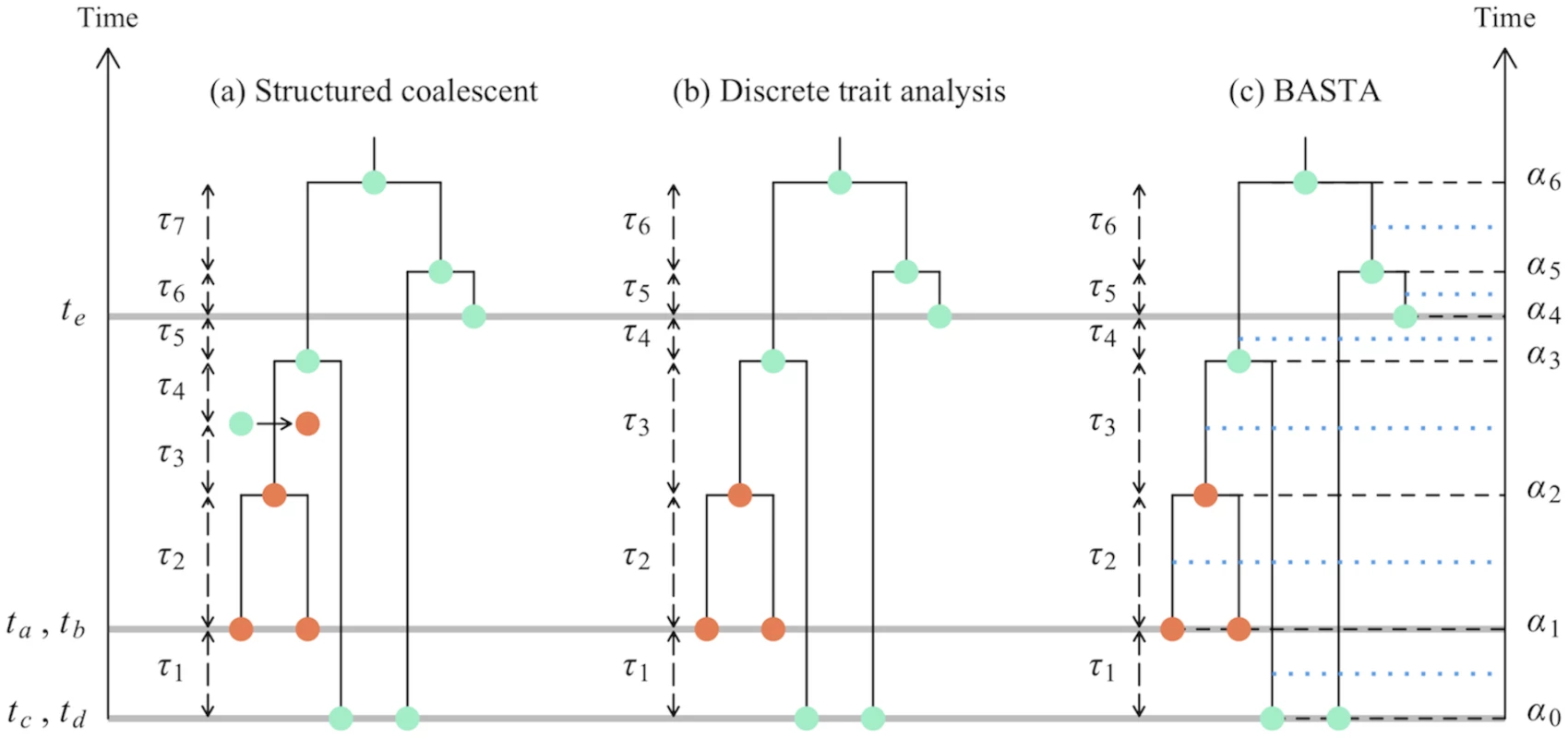 Graphical representation of phylogeographic models.
