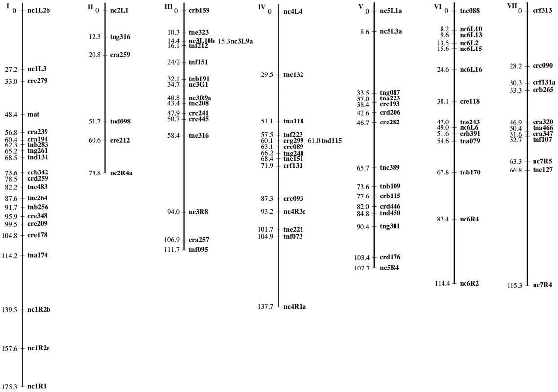 The <i>N. crassa</i> clade NcA × clade NcC genetic map.