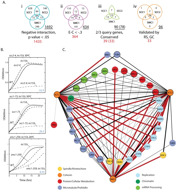 <i>S. cerevisiae</i> cohesin genetic interaction network.