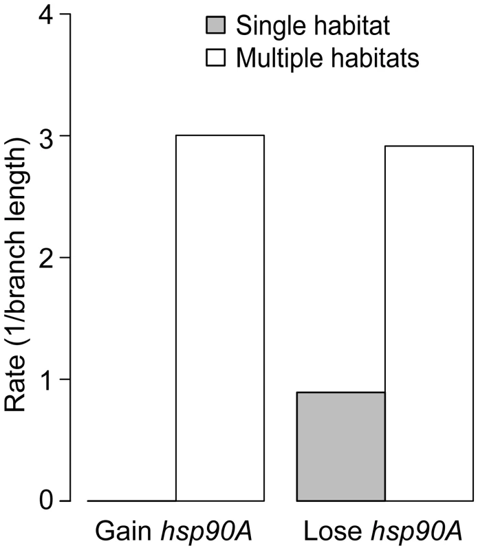Habitat preference affects the gain and loss of <i>hsp90A</i> in bacteria.