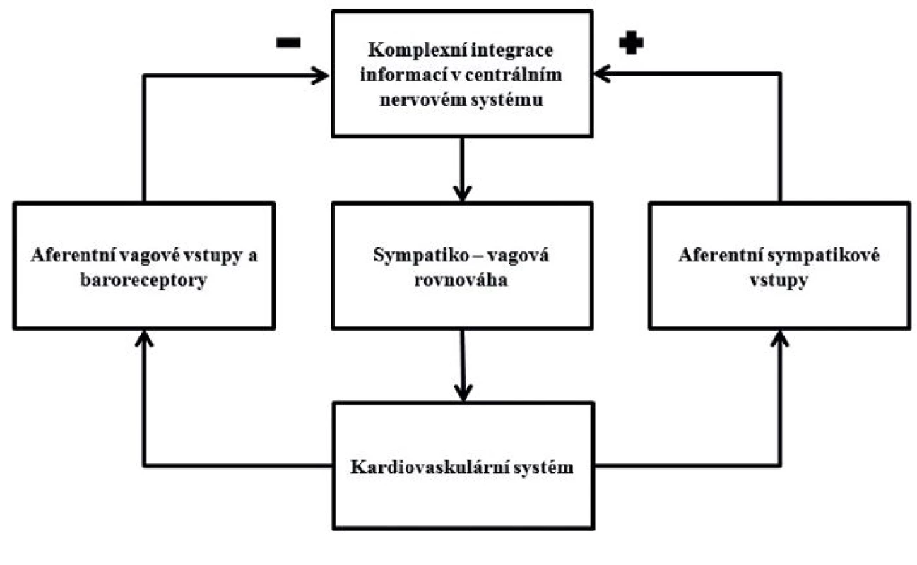 Schéma zpětnovazebné autonomní nervové regulace kardiovaskulárního systému