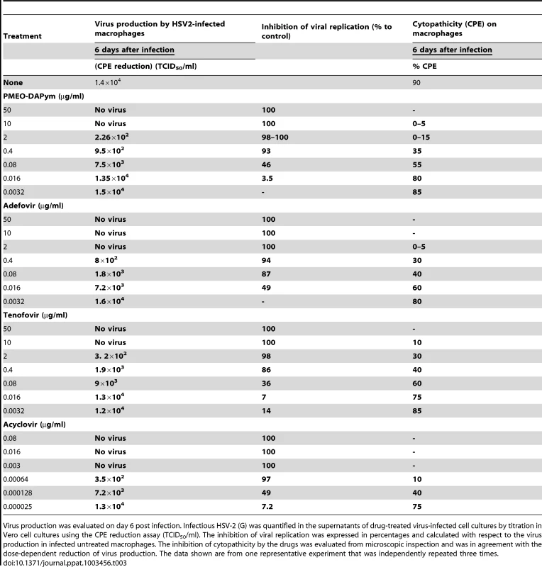 Inhibitory activity of tenofovir, adefovir, and PMEO-DAPym against HSV-2 in primary M/M cultures as determined with the CPE reduction assay and the PFU reduction assay.