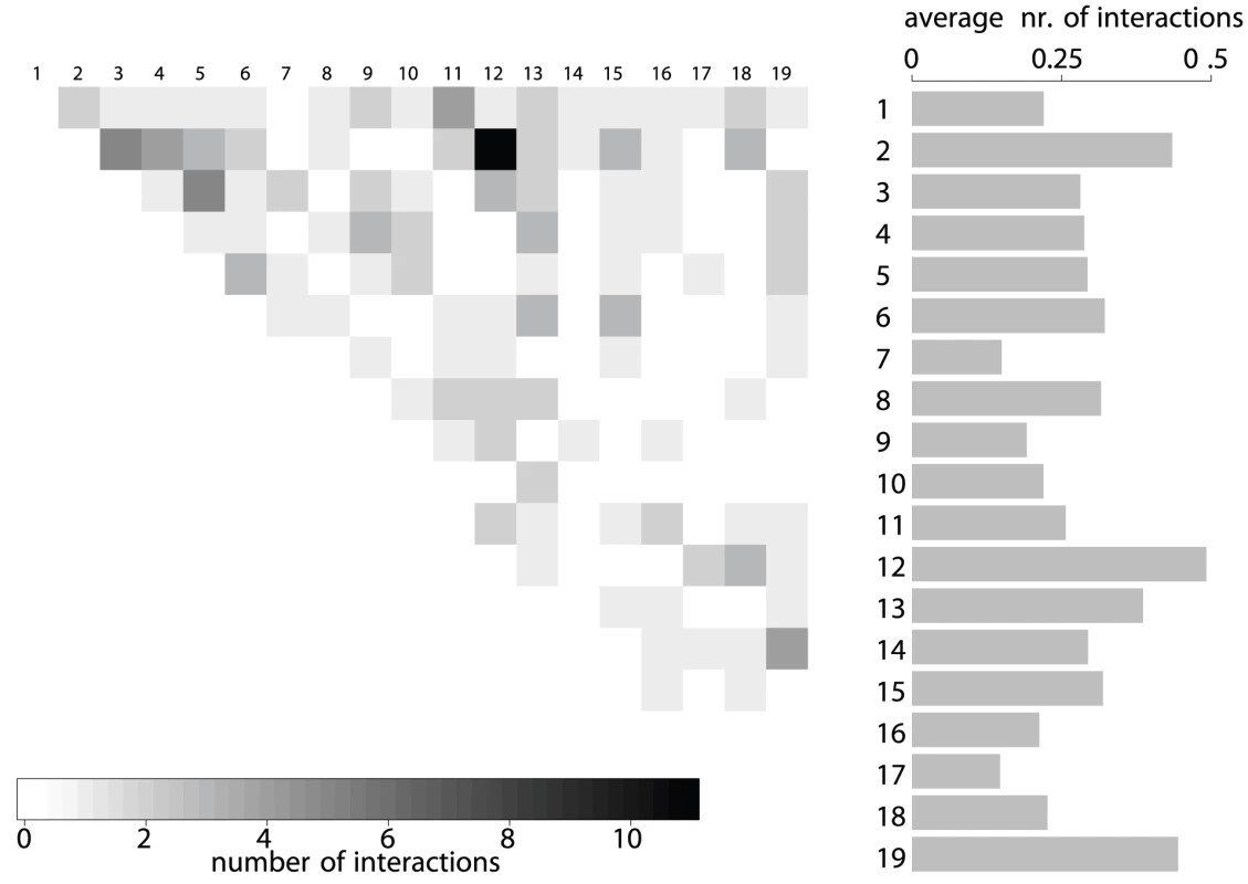Number of interactions per autosome pair.