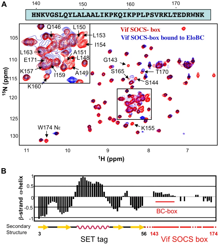 NMR spectroscopy of the Vif SOCS-box.