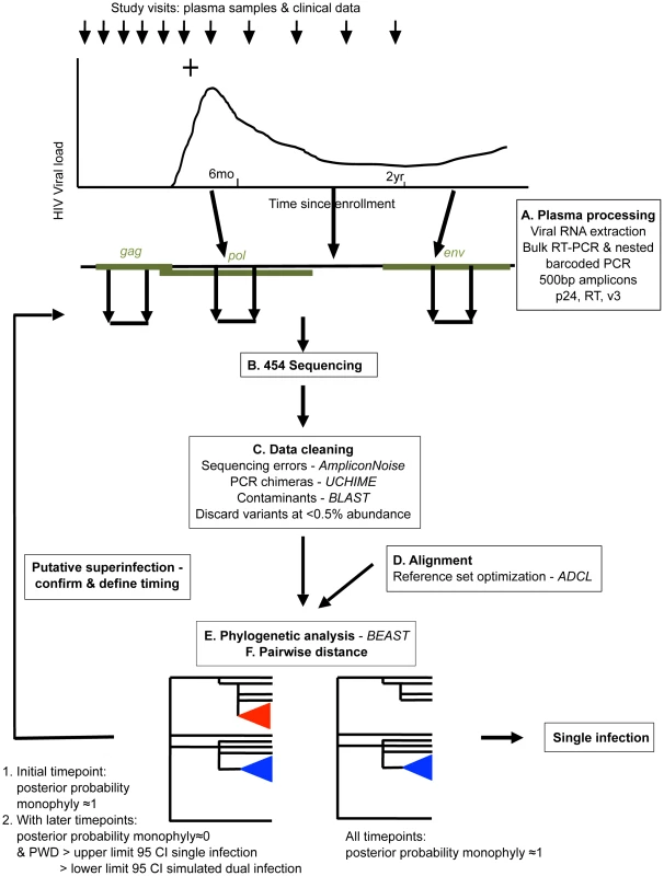 Overview of NGS superinfection screening pipeline.