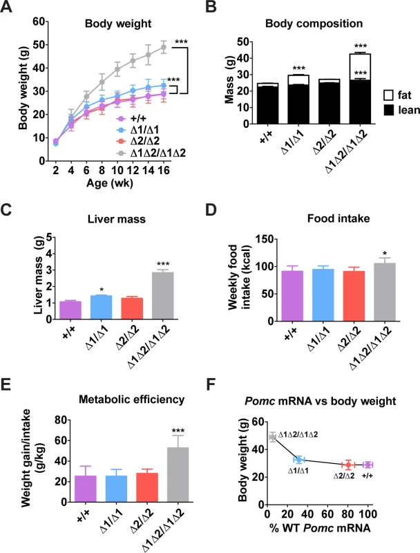Metabolic phenotype of male nPE mutant mice.