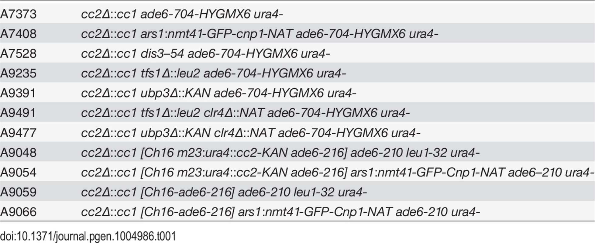 <i>Schizosaccharomyces pombe</i> strains.