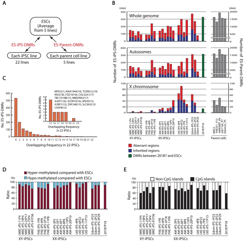 Aberrant methylation in human iPSCs.
