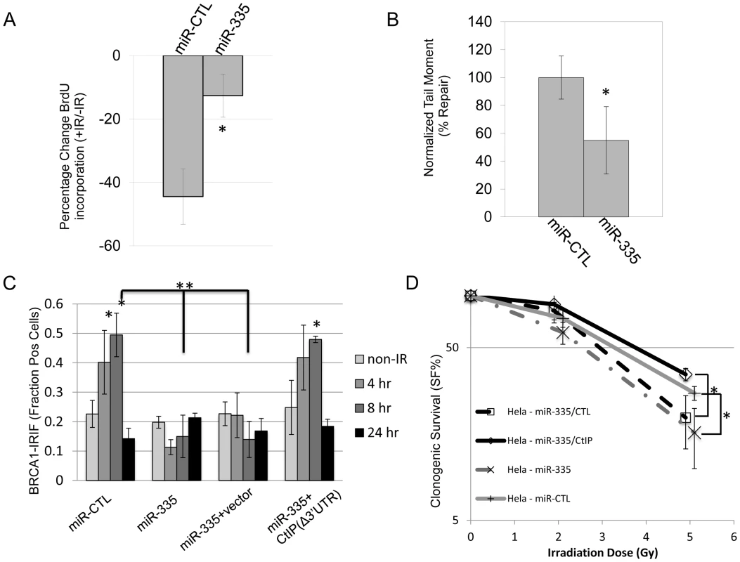 DDR defects induced by miR-335 overexpression in HeLa cells.