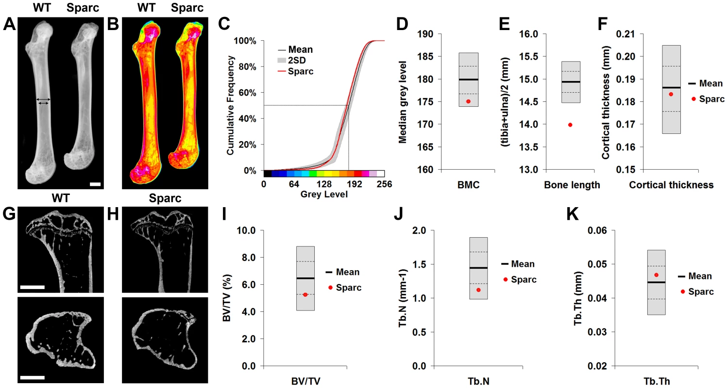 Faxitron x-ray microradiography and micro-CT.